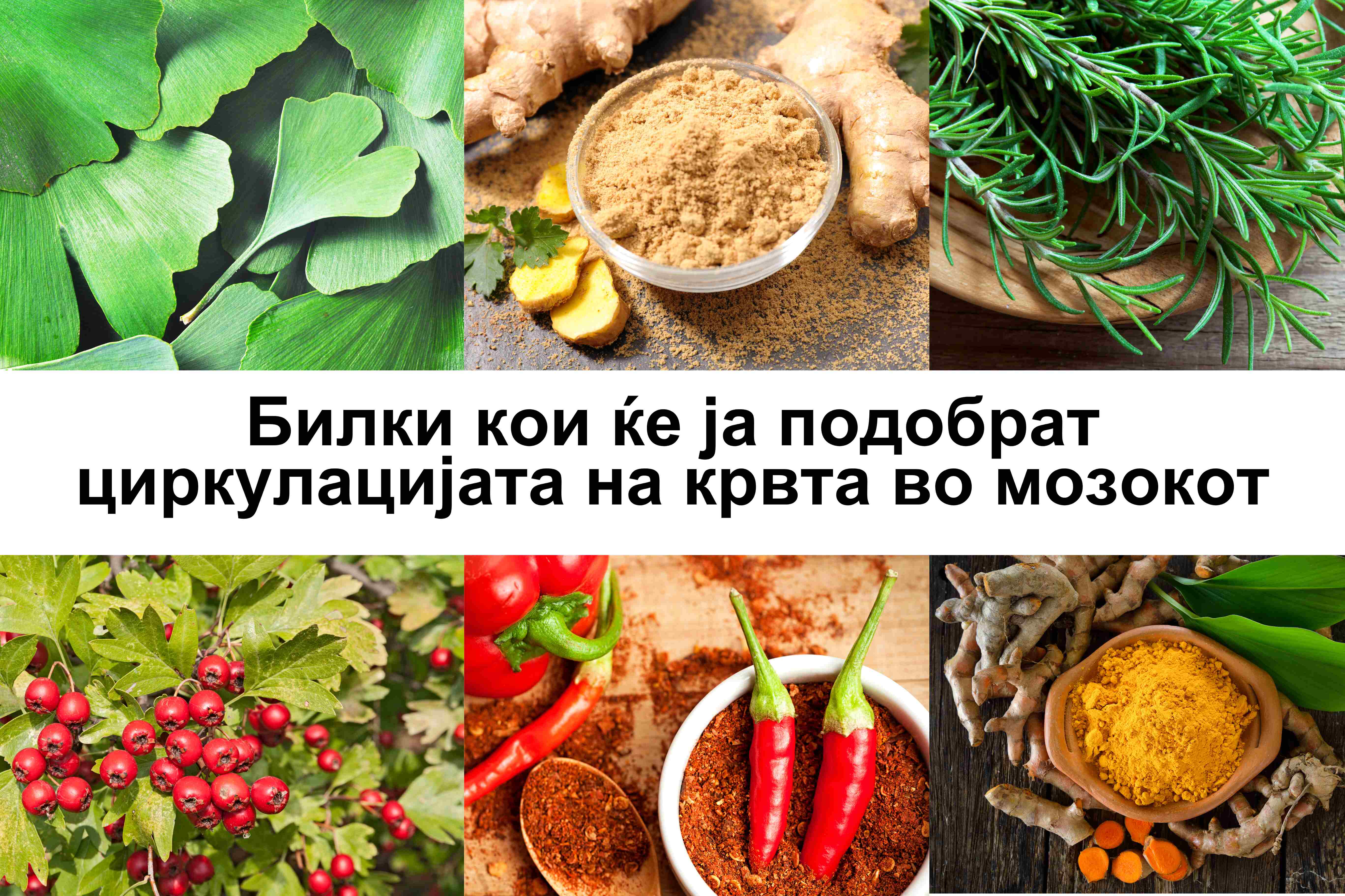 Билки за циркулација на крвта во мозокот: традиција, докази и граници