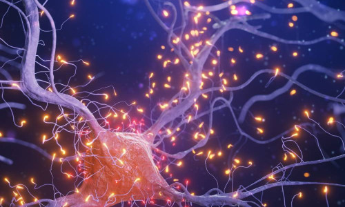 10 моќни лековити билки за периферниот нервен систем