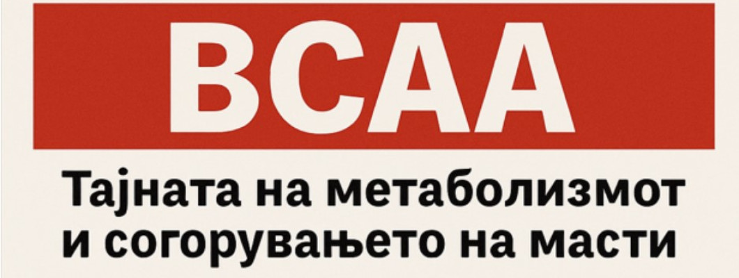BCAA: Тајната на метаболизмот и согорувањето на масти