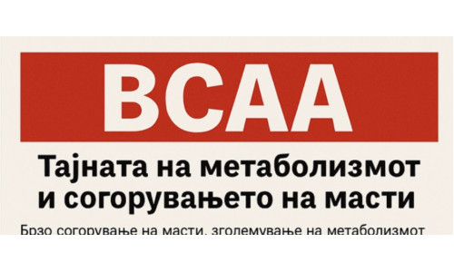 BCAA: Тајната на метаболизмот и согорувањето на масти BCAA: Тајната на метаболизмот и согорувањето на масти