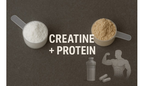 Креатин vs. Протеини – Кој е подобар за вашите цели?