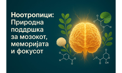 Нутропици: Природна поддршка за мозокот, меморијата и фокусот