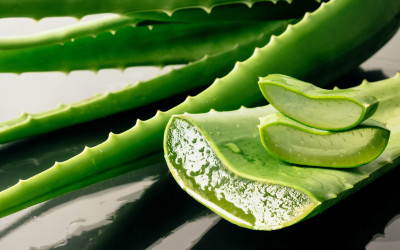 wonach schmeckt aloe vera Reiner Bio Aloe Vera Saft main image 0
