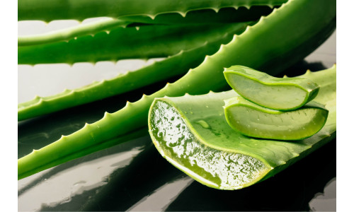 Како и кога да се земе Алое вера