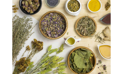 16 Билки за слабеење