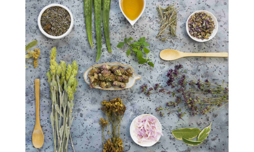 Кои билки помагаат во лекувањето на проблемите со простатата