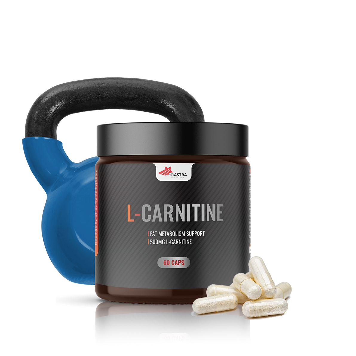 l carnitine stack with whey protein L-carnitine, creatine and whey protein effective for strength training